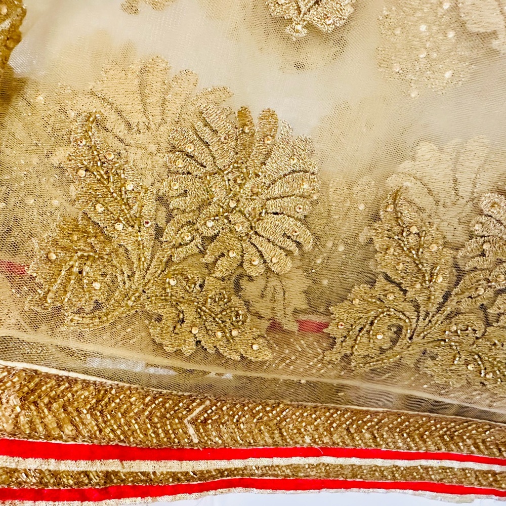 Elegant Gold Embroidered Saree with Red Trim